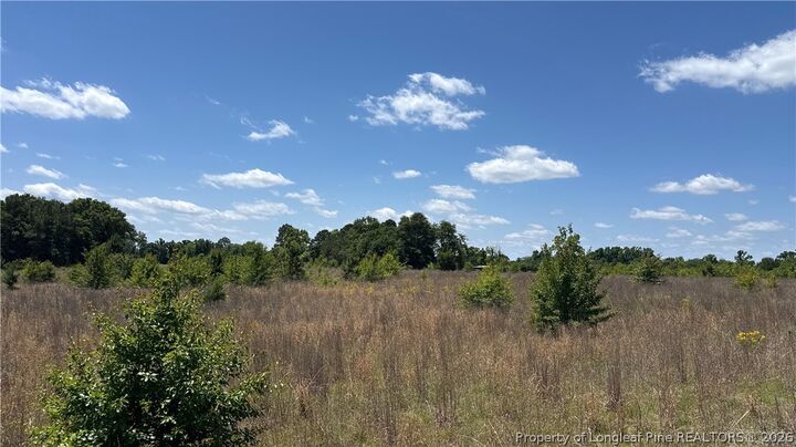Property Photo:  Snipes Road  NC 20747 