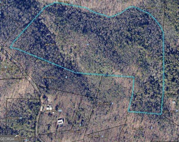 Property Photo:  28.4 Ac Black Dog Trail  GA 30513 