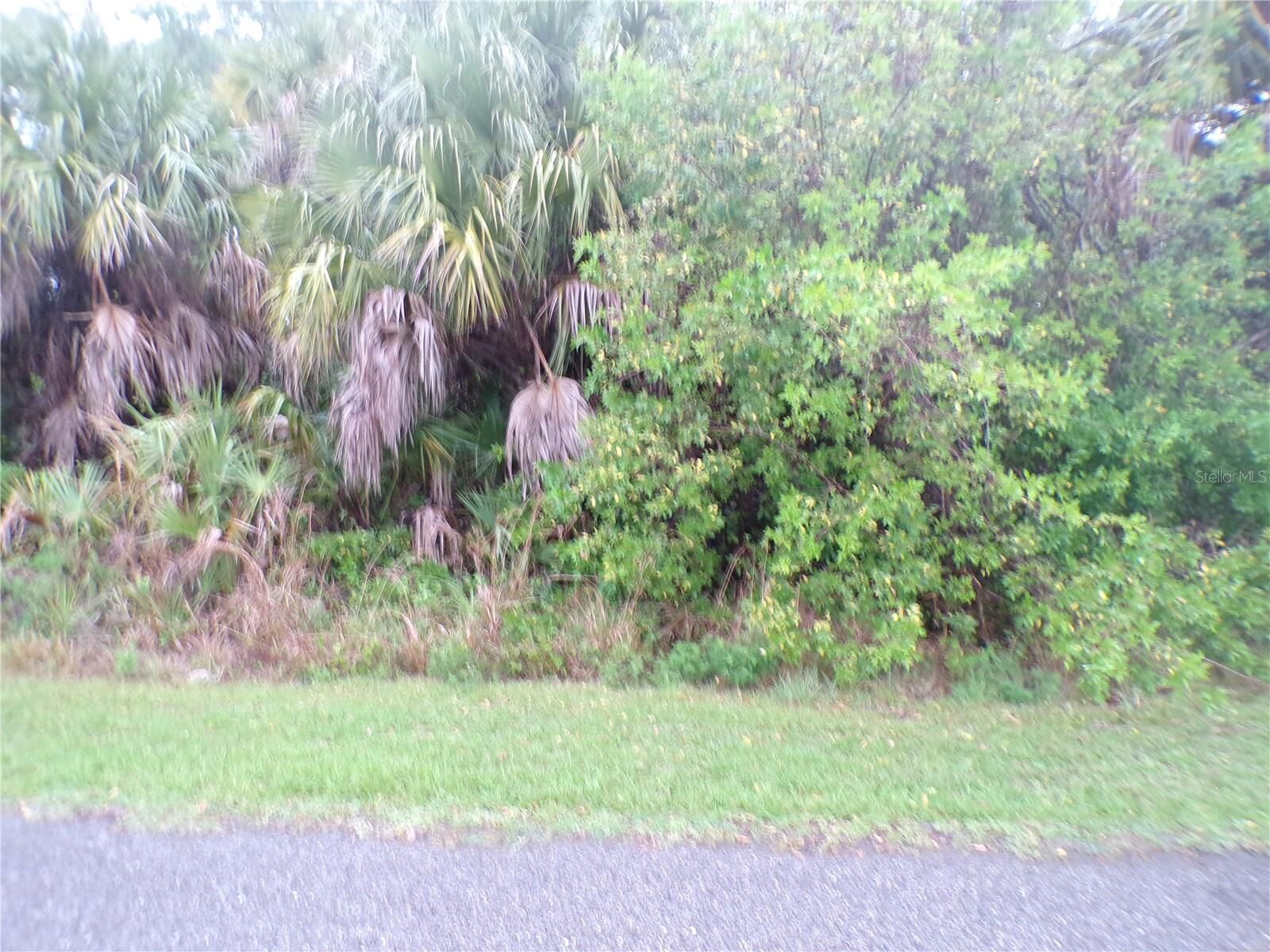 Property Photo:  Shalimar Terrace  FL 34286 