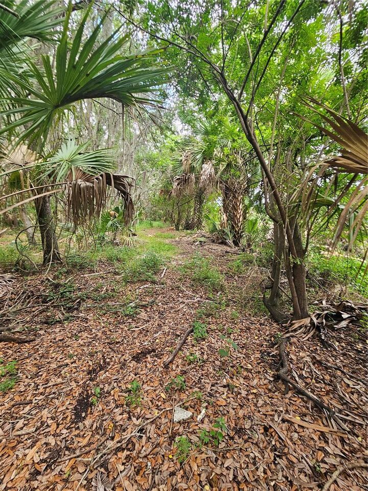 Property Photo:  601 Howard Avenue  FL 32765 