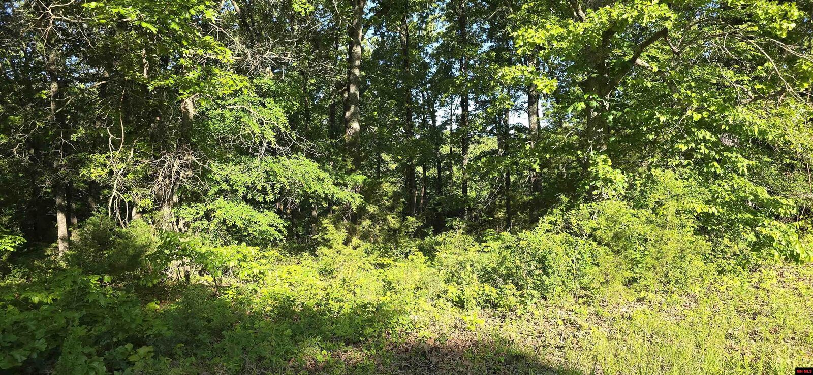 Property Photo:  Lot 25 Lakepointe Drive  AR 72634 