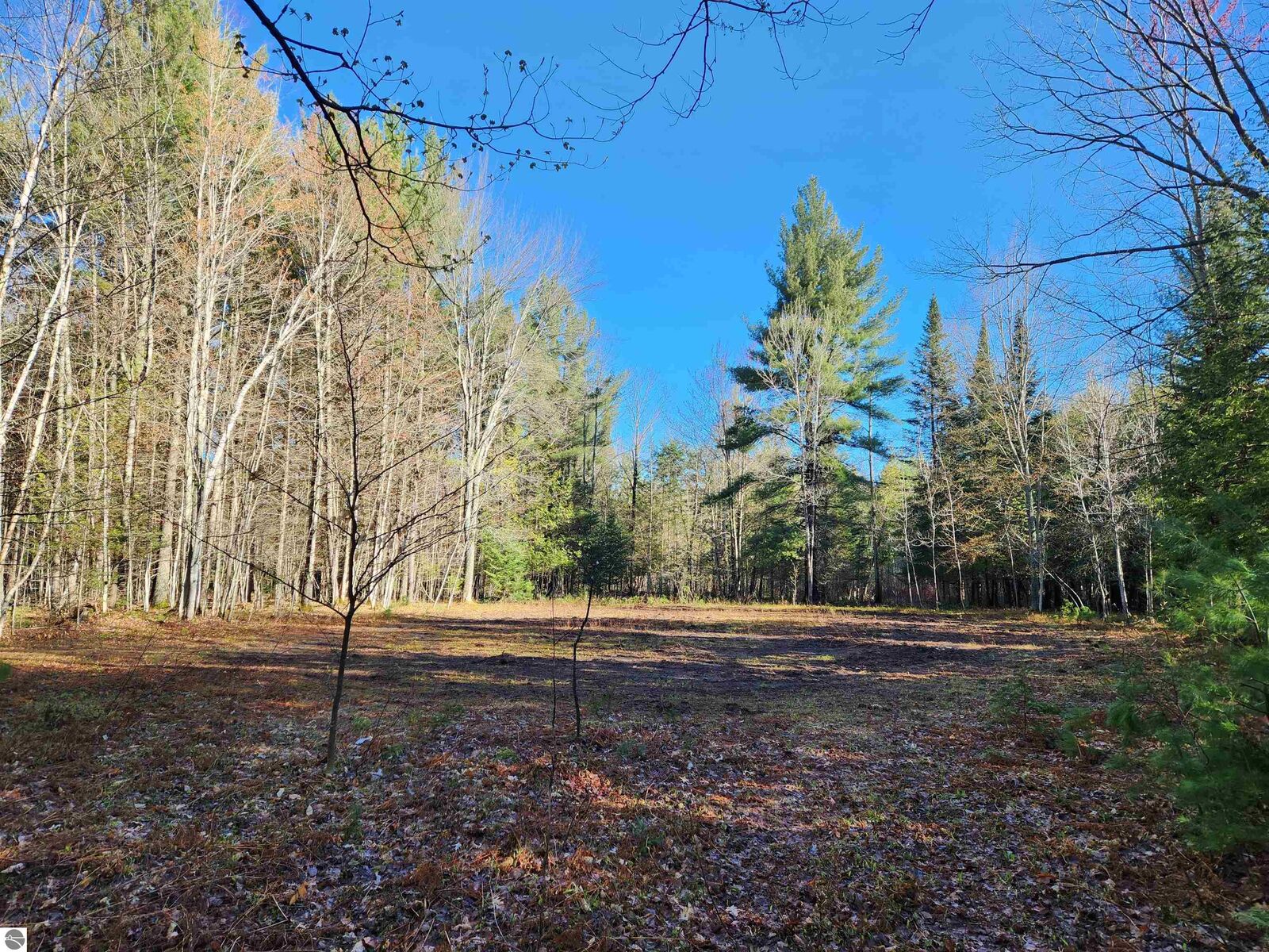 Property Photo: 00 Adams Road MI 49646