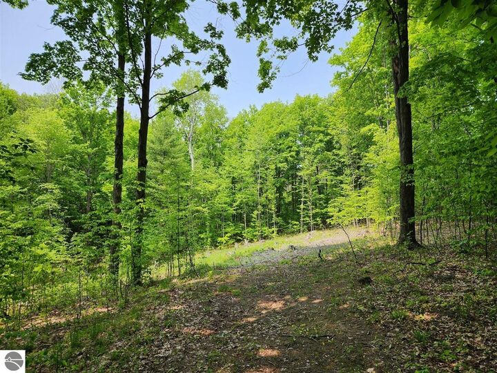 Property Photo:  V/L Ravens Roost  MI 49684 