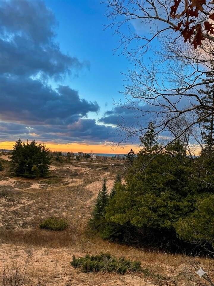 Property Photo: 8916 Sturgeon Bay MI 49740