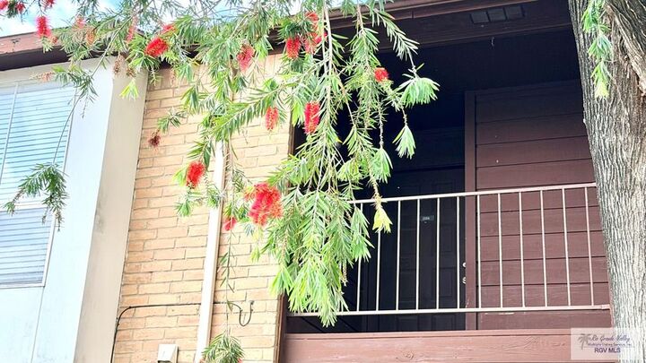 Property Photo: 4601 Carmen Ave. 2204 TX 78575