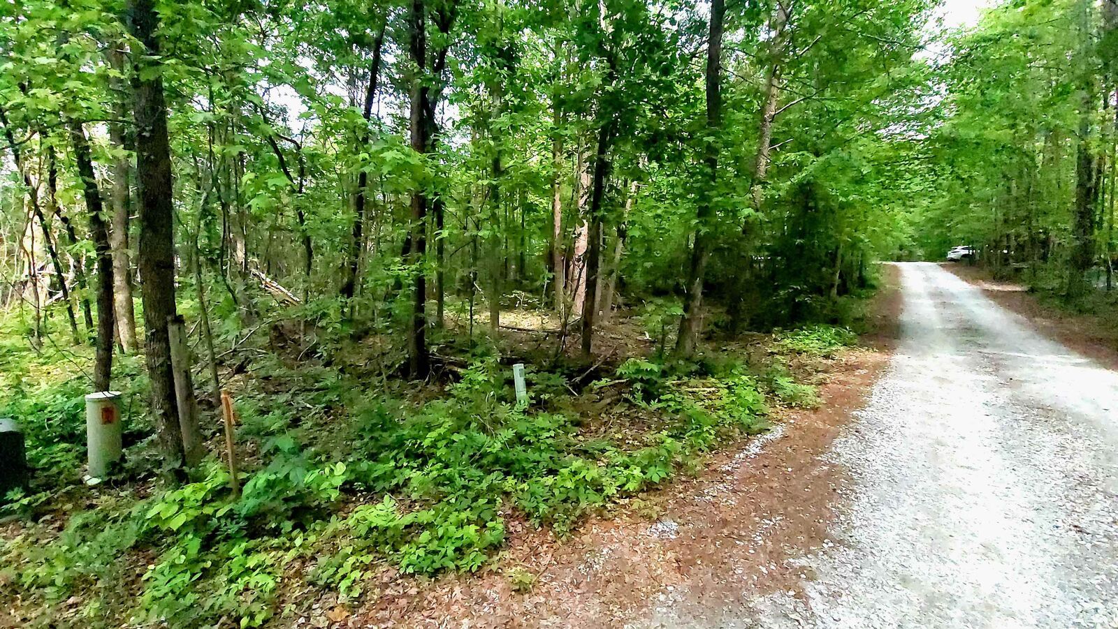 Property Photo:  20 Integral Lane ***  SC 29690 