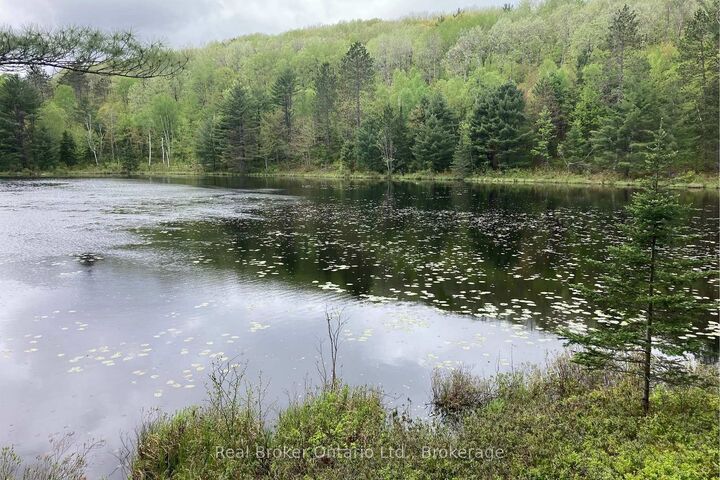Property Photo:  8145 Highway 17 Highway E  ON P0H 2E0 