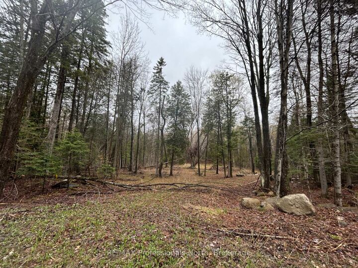 Tbd North Drive — photo 1