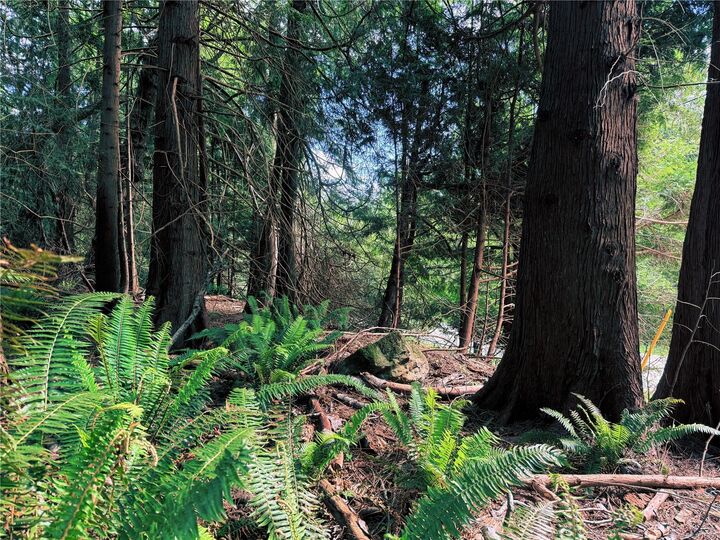Property Photo:  Lot 6 Spruce Ave  BC V0R 1X1 