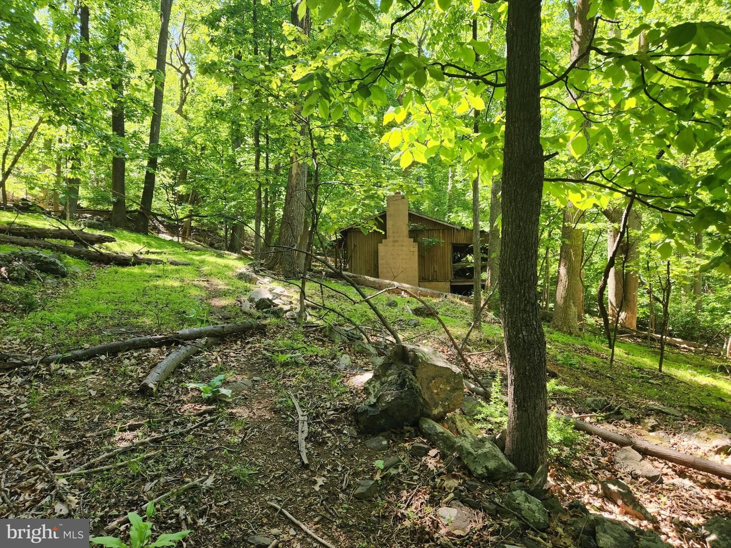 Property Photo: Cashmere Court VA 22642