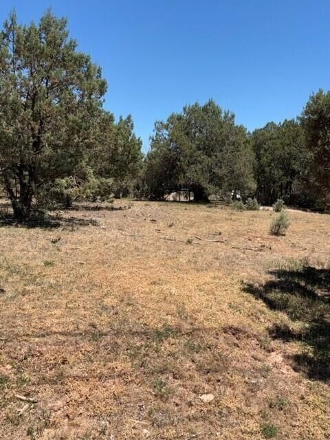 Property Photo:  Lot 46 Park Rd  AZ 85541 