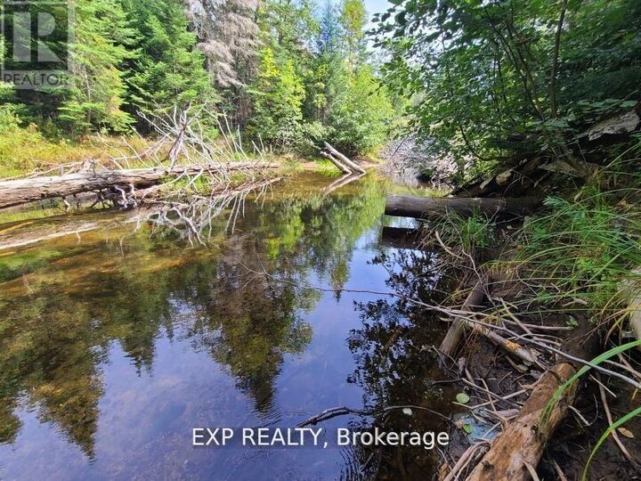 Property Photo:  Pt Lt 8 Old Barry'S Bay Road  ON K0J 1L0 
