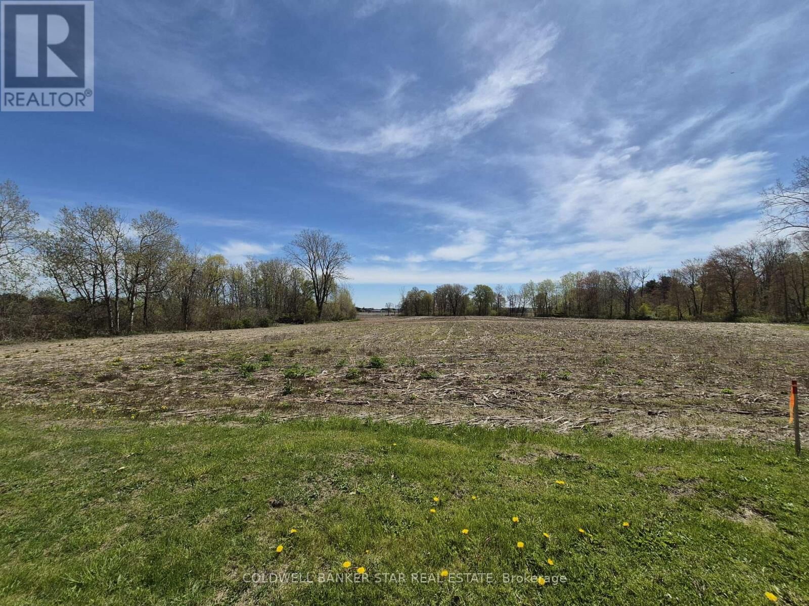 Property Photo:  4876 Imperial Road  ON N5H 2R2 