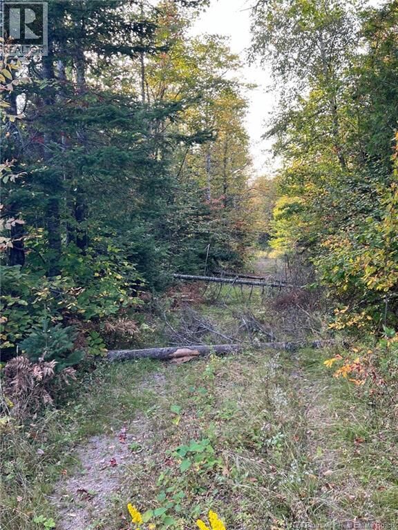 Property Photo:  Lot 24-1 Rte 3  NB E6K 1T3 