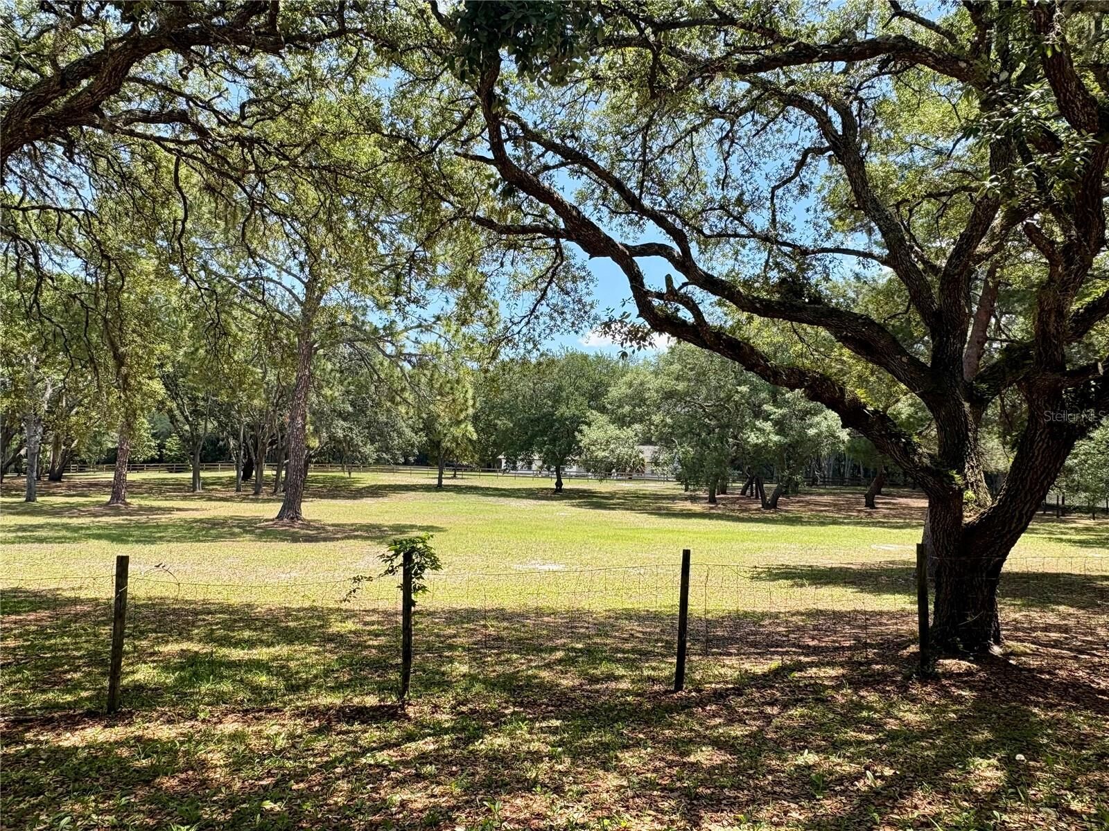 Property Photo:  390 Foothill Farms Road  FL 32763 