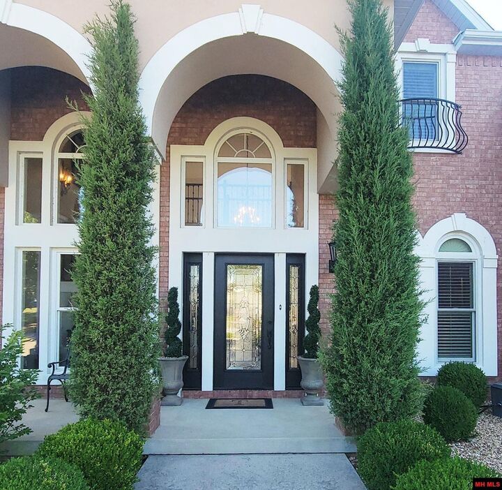 Property Photo:  308 Holly Grove Drive  AR 72653 