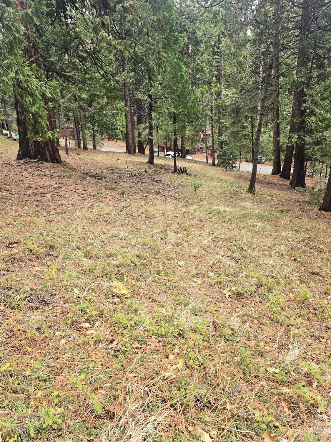 Property Photo: 594 Dean Way CA 95223