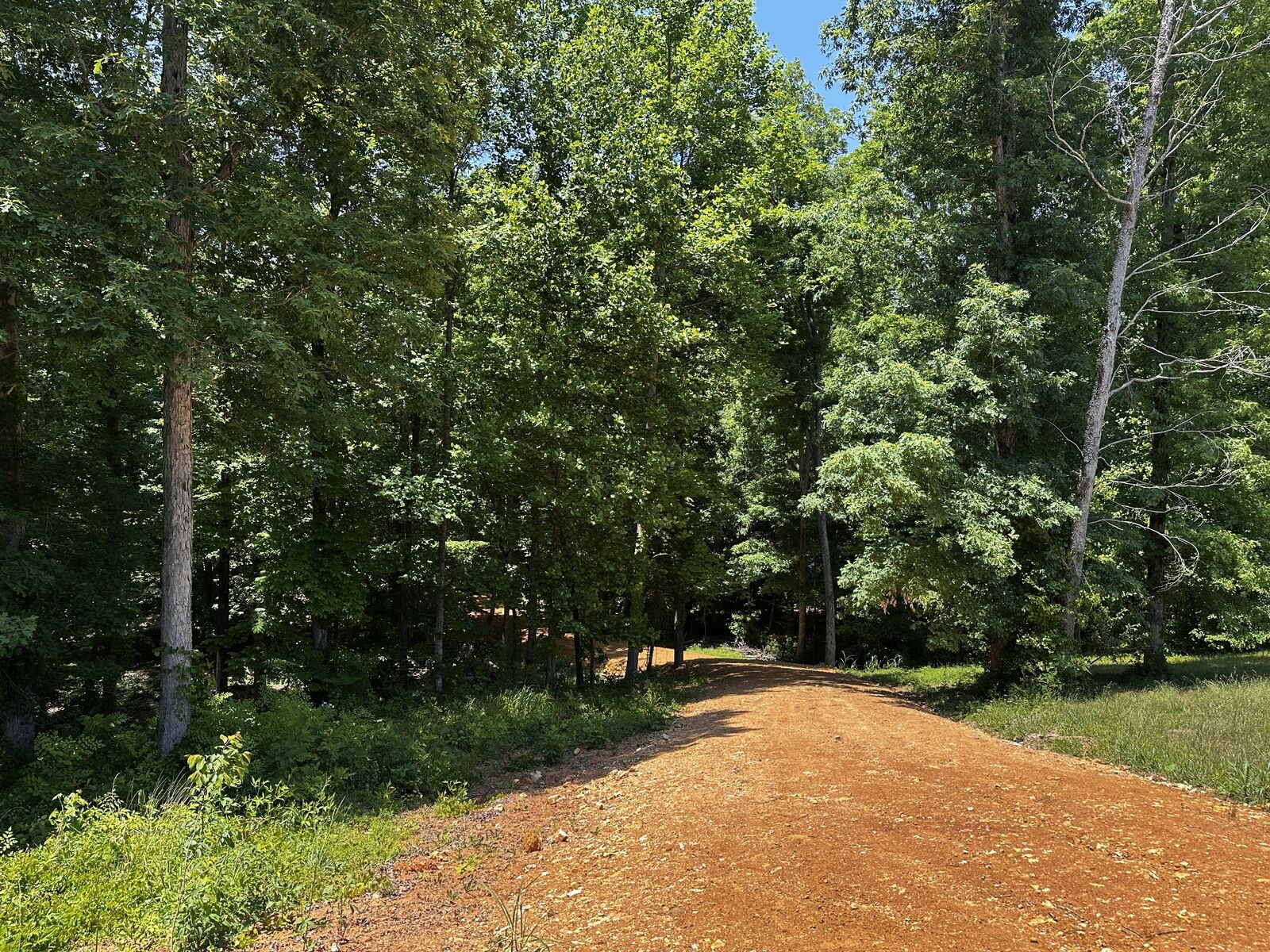 Property Photo:  0 Littrell Road  TN 38469 