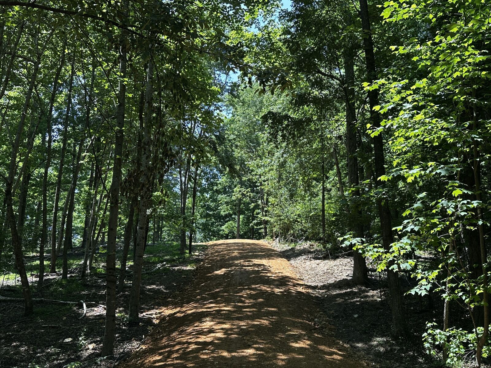 Property Photo:  0 Littrell Road  TN 38469 