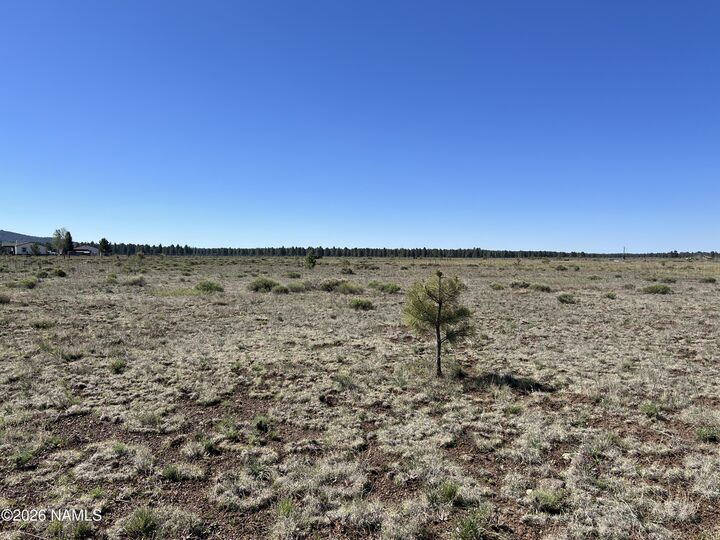 Property Photo:  13294 Dog Haven Place  AZ 86018 