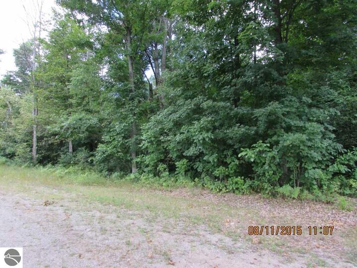 Property Photo:  417 Grouse Drive  MI 49646 