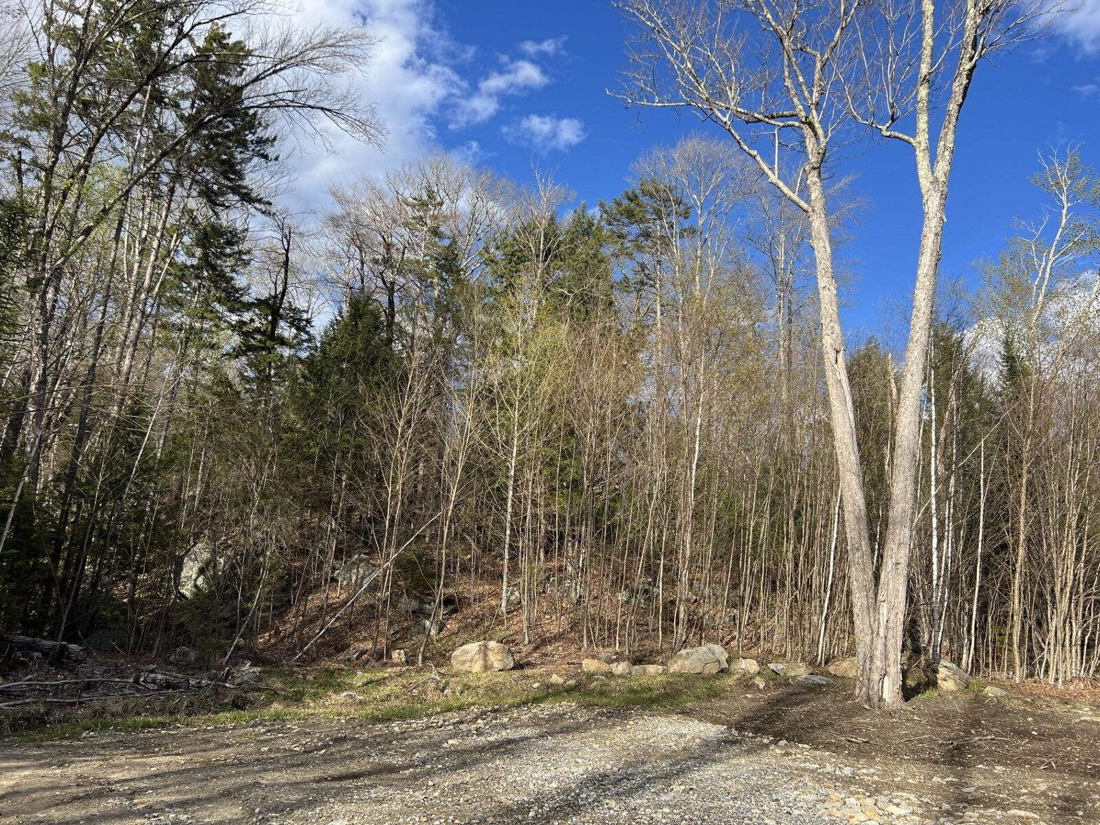Property Photo:  244 Rowentown Road  NH 03282 