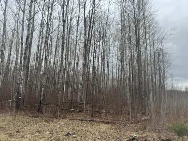 Property Photo:  Xxx Frazer Road  MN 56631 