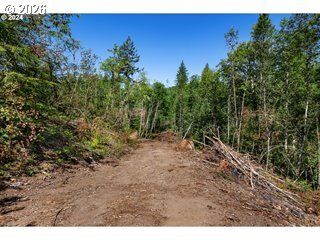 Property Photo: NE Berry Rd WA 98604