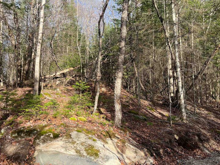 Property Photo:  Lot 27 Bushwolf Lake Road  ON K0M 1S0 