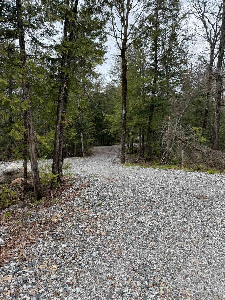 Property Photo:  35 Maple View Court  ON K0H 1K0 