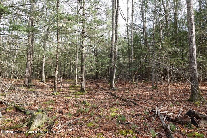 Property Photo:  738 Manorville  NY 12477 