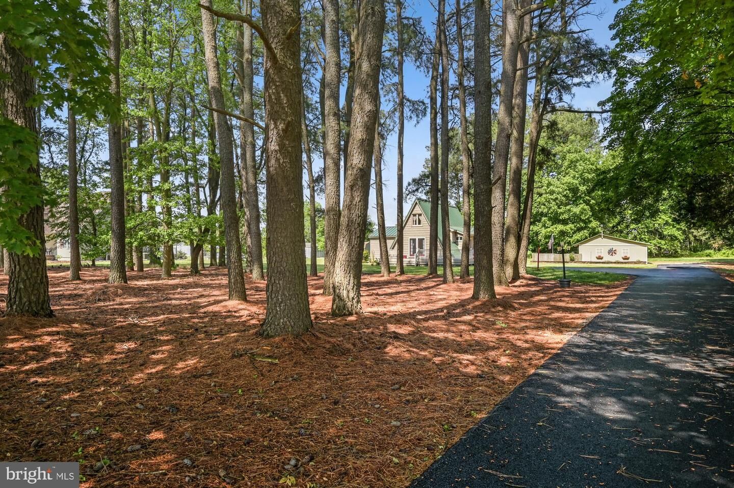Property Photo: 151 Peach Basket Road DE 19943