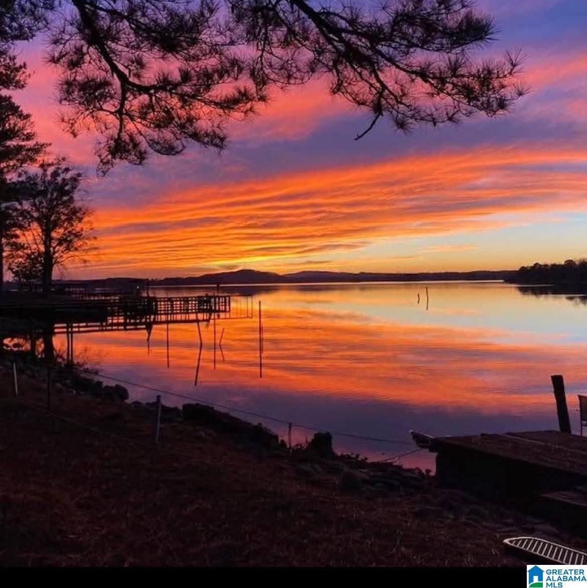 Property Photo:  1740 County Road 102  AL 35959 