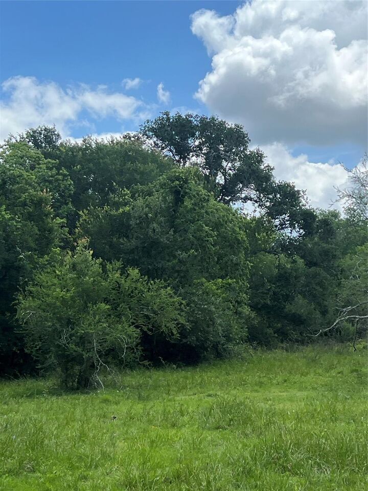 Property Photo:  14113 Peters Road  TX 77461 