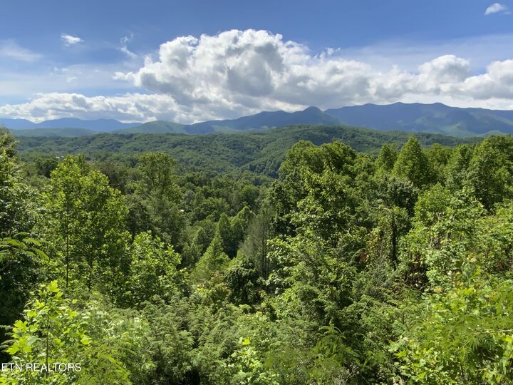 Property Photo:  505 Crest Rd  TN 37738 