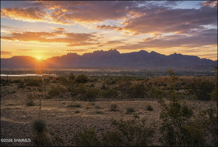 Property Photo:  597 Tingo Circle  NM 88011 