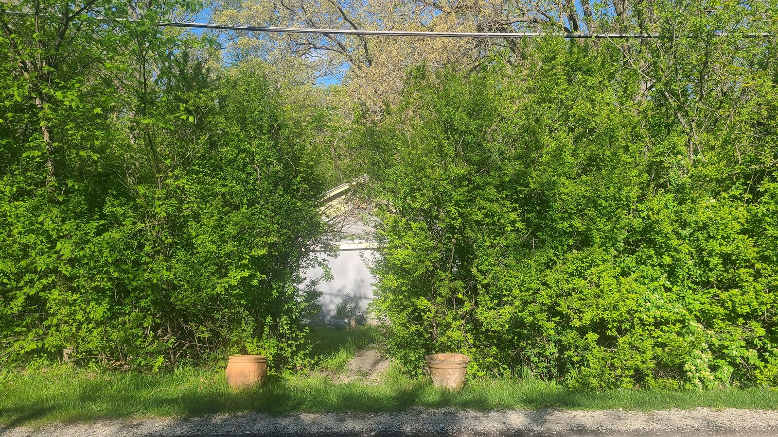 Property Photo:  38950 N Hickory Street  IL 60046 