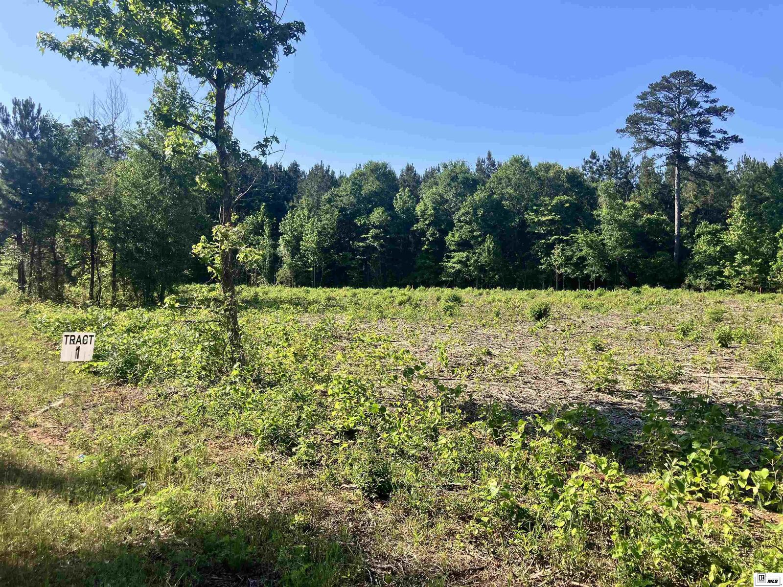 Property Photo:  9014 Lot 1 Highway 80  LA 71275 
