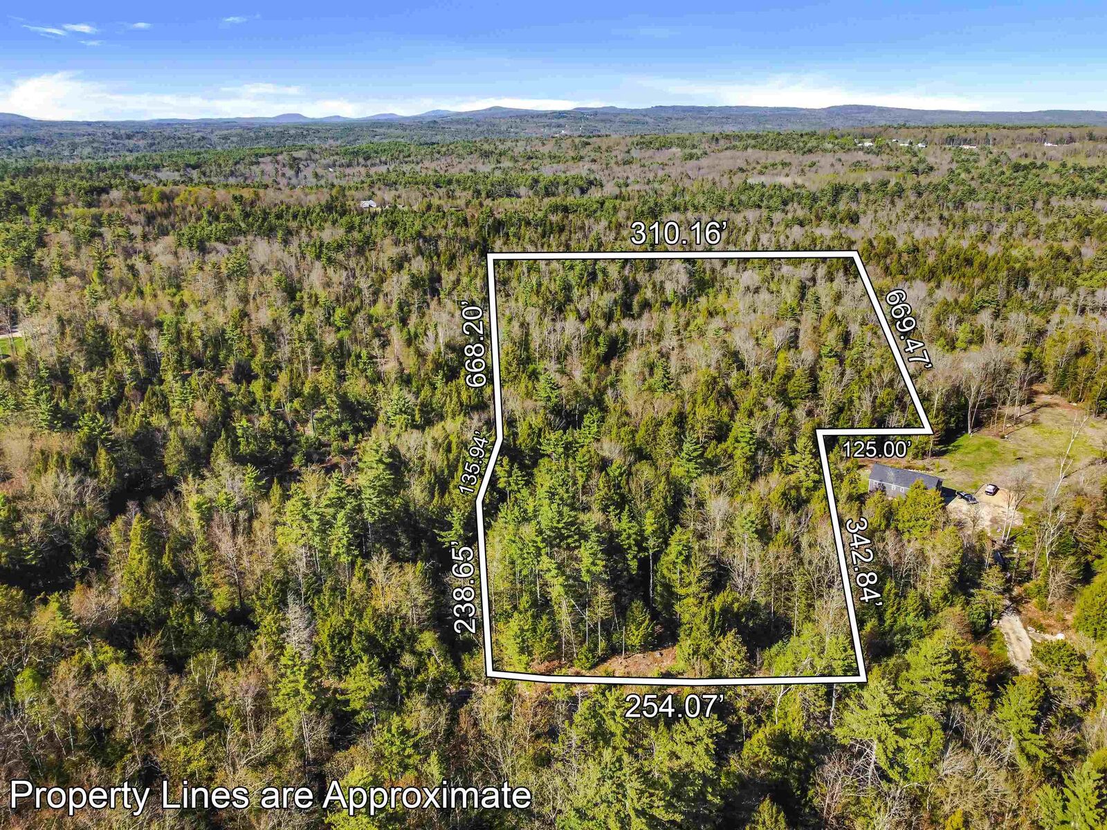 Property Photo:  1196 Province Road  NH 03218 