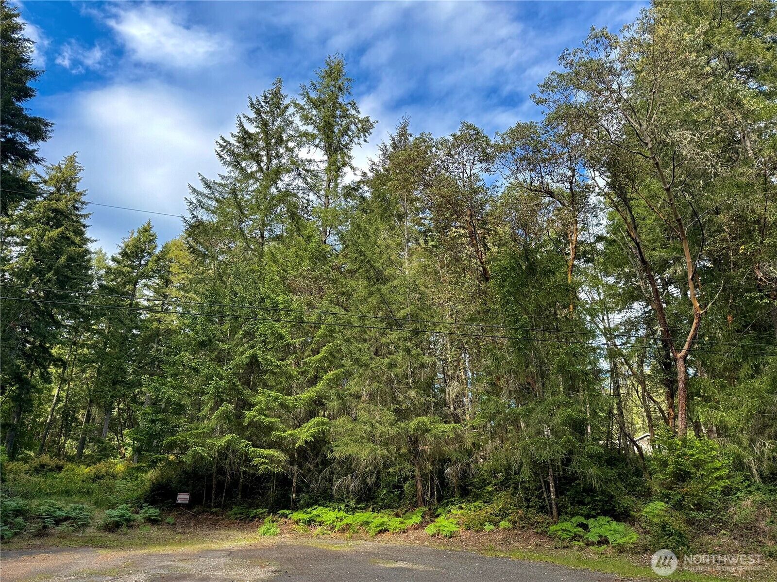 Property Photo: 12027 Country Club Drive WA 98303