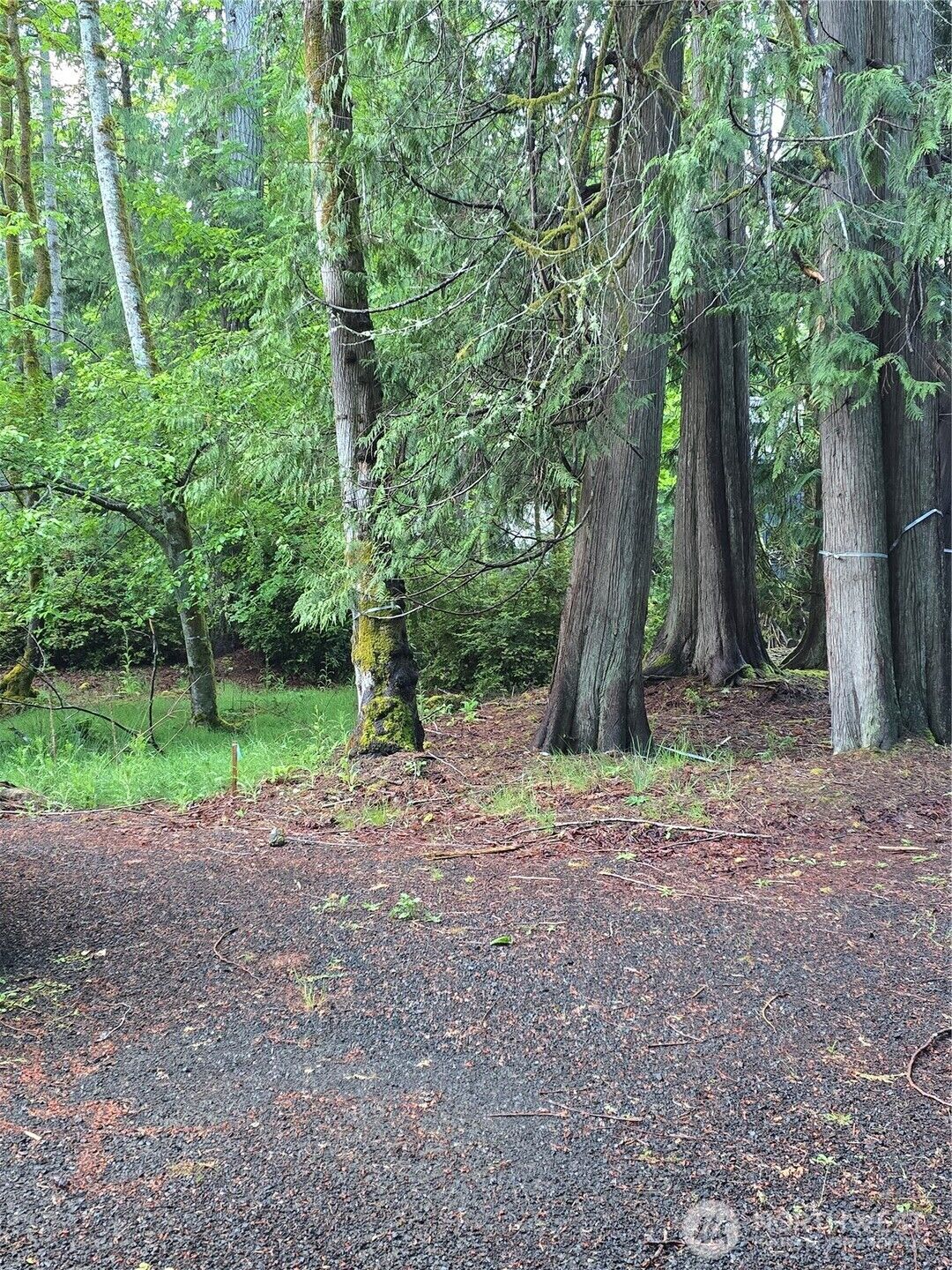 Property Photo:  441 E Pointes Drive E  WA 98584 