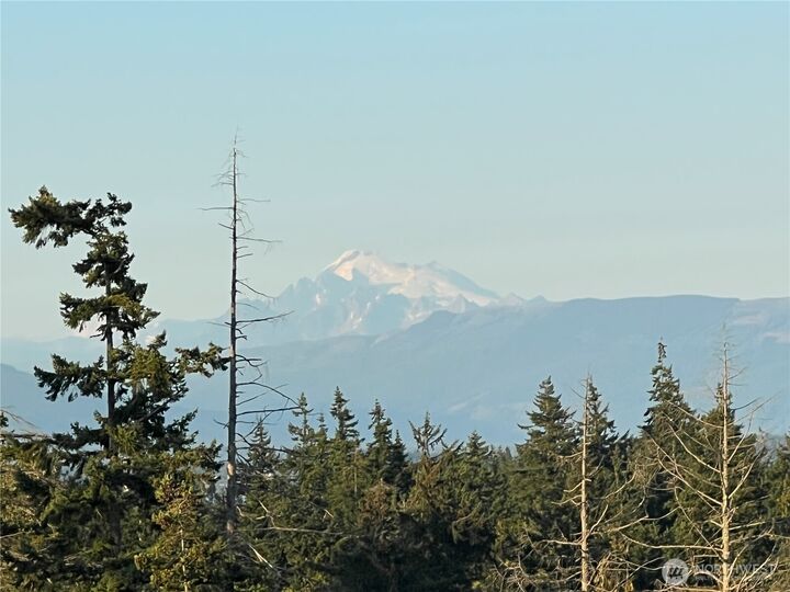 Property Photo: 7006 State Route 20 WA 98221