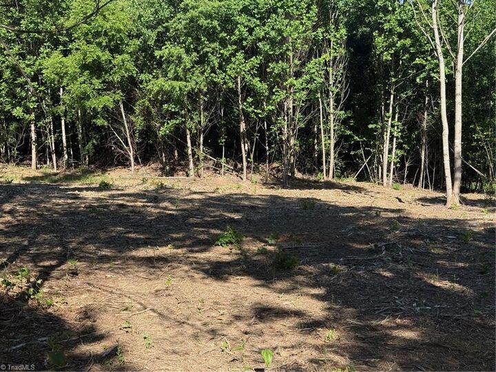 Property Photo:  000 Parks Ridge Road  NC 28697 