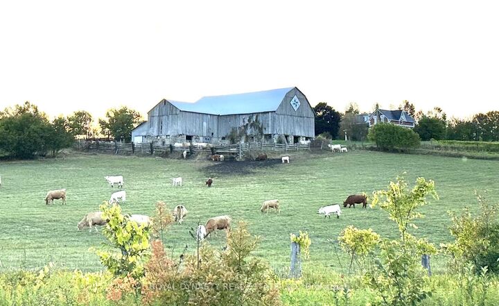 807 County Rd 41 Road — photo 1