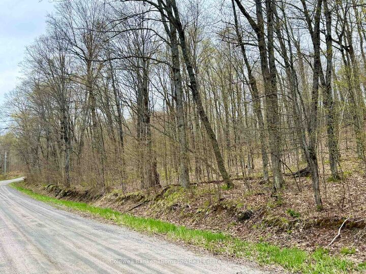 842 Seagull Lake Road S — photo 1