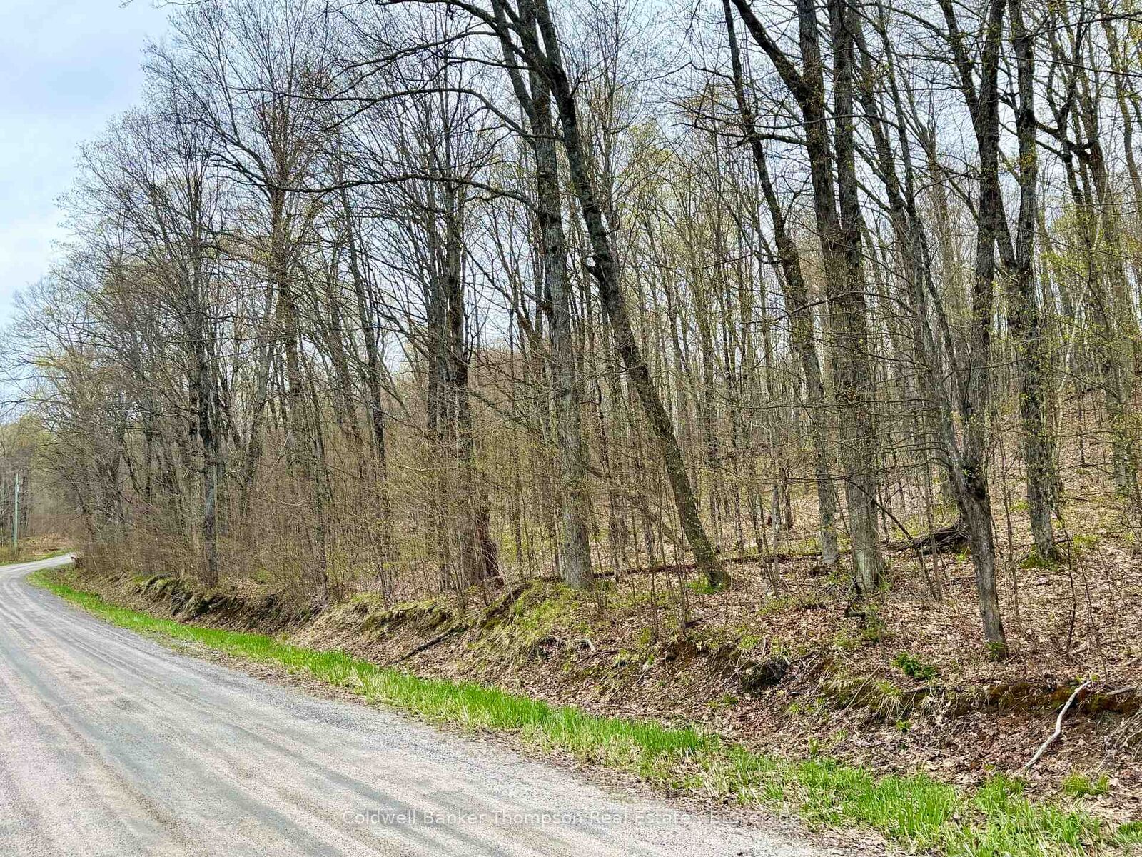 Property Photo:  842 Seagull Lake Road S  ON P0H 1A0 
