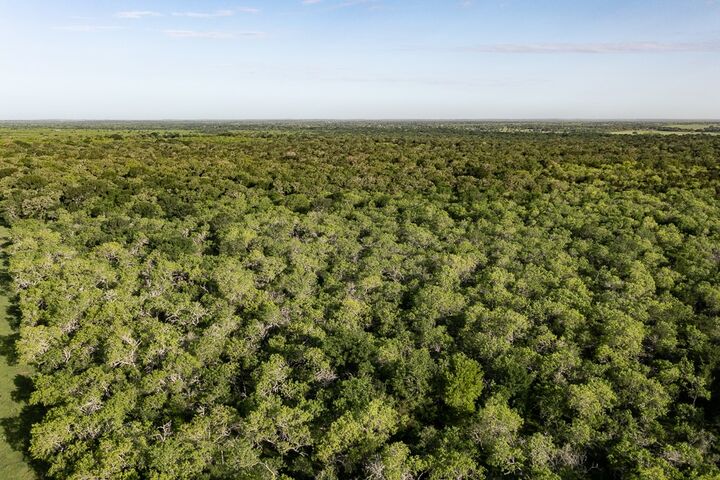Property Photo: Tbd Anchor Ranch Lp Loop TX 78941