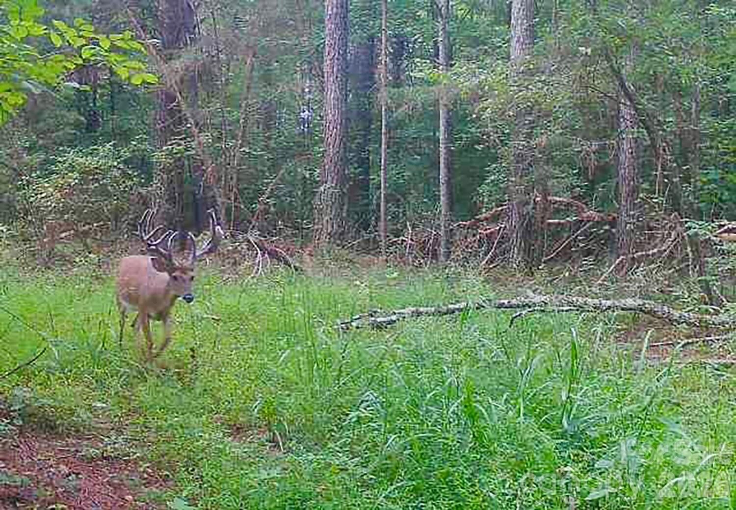 Property Photo:  5555 Groves Road  NC 28167 