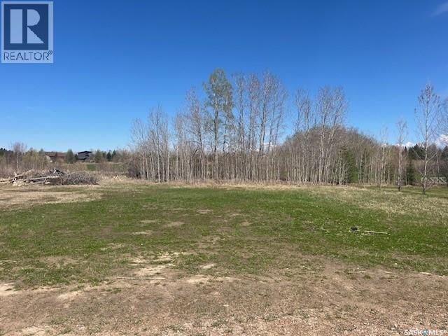 Property Photo:  108 Northern Meadows Crescent  SK S0M 1A0 