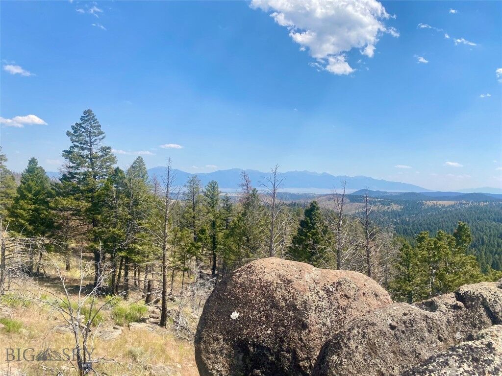 Property Photo: Tbd Whiskey Gulch Road MT 59759